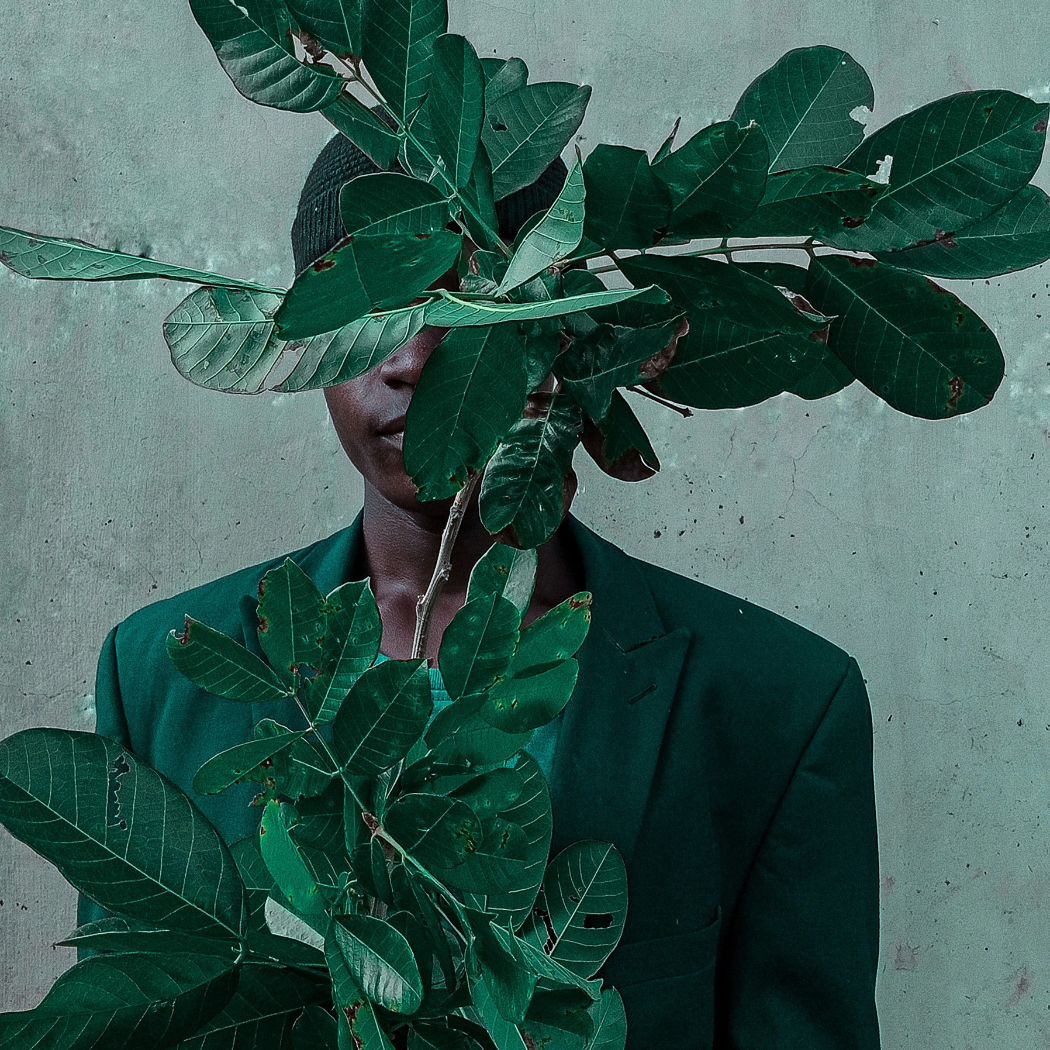 ecologies